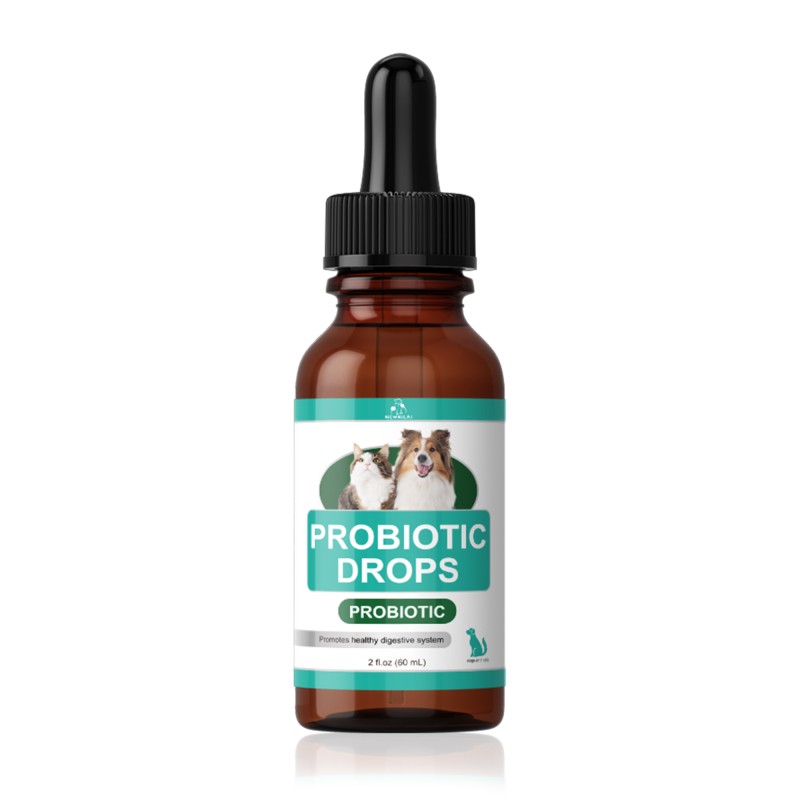 Probiotic For Dogs Supplier - Effective Formula Ready Stock