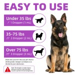 Allergy Supplement Drops Supplier - Sensitive Digestive Immune