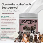 Pet Milk Powder Factory - High Quality Goat Milk Probiotic