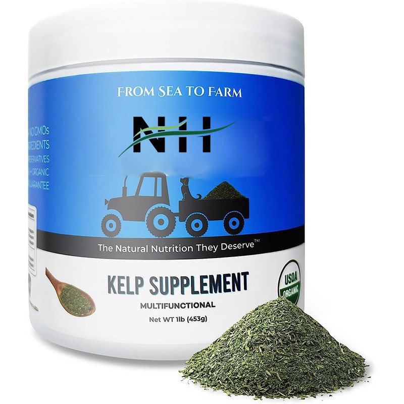 Pet Vitamin Powder Manufacturer - Digestive Health Support