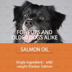 Pure Wild Alaska Salmon Oil Factory - Joint Function Support
