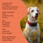 Omega-3 Dog Fish Oil Supplier - Skin Coat Health Liquid