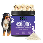 Dog Probiotic Powder Manufacturer - OEM Natural Supplement