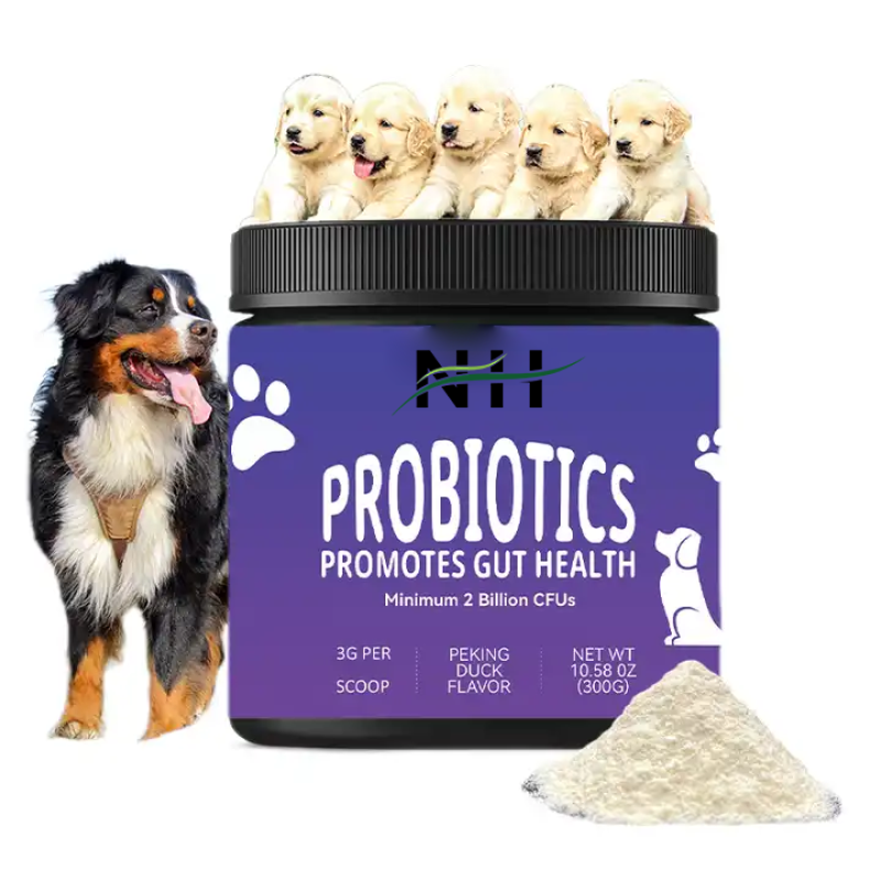 Dog Probiotic Powder Manufacturer - OEM Natural Supplement