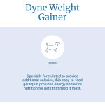 Pet Collagen Supplement Manufacturer - Dietary Health Support