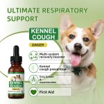 Cough Drops For Pets Supplier - GMP Certified Wholesale
