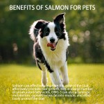 Pure Wild Alaska Salmon Oil Factory - Joint Function Support