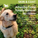 Pet Skin Products Supplier - OEM ODM Custom Skin Care