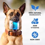 宠物维生素粉末生产厂家-消化健康支持