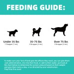 Probiotic For Dogs Manufacturer - Effective Formula Factory