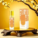 Perfume Oil Manufacturer - 10ml Arabic Roll on Natural Strong Floral Long Lasting 24 Hours Unisex