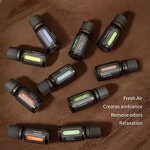Essential Oil - OEM ODM 10ml Organic Rosemary 100% Pure Aromatherapy