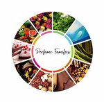 Perfume Manufacturer - OEM ODM Private Label for Men Women Long Lasting Scent