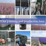 Perfume Oil Manufacturer - 1000ml Gris Chaeel Original High Concentrated Free Sample Spray