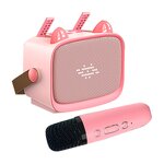 Karaoke Machine Manufacturer - Hot Selling Portable T99 Wireless BT Speaker With Dual Microphones For Home