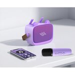 Karaoke Speaker Manufacturer - Portable Microphone Toy for Kids Handheld KTV Party Camping BT Wireless Home Mini