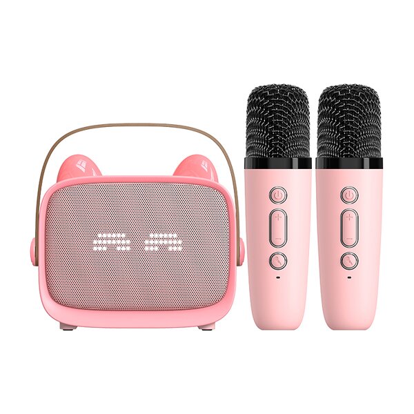 Karaoke Speaker Manufacturer - T99 BT5.3 Professional Singing Home HandHold Portable with Wireless Microphone