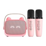 Karaoke Machine Manufacturer - Hot Selling Portable T99 Wireless BT Speaker With Dual Microphones For Home
