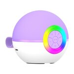 Karaoke System Manufacturer - Mini Wireless with Dual Microphone KTV Professional Singing Outdoor Speaker T97