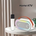 Portable Speaker Manufacturer - Popular P6 HandHeld HIFI With Wireless Microphone Karaoke Outdoor with LED Light