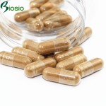 褪黑素片剂工厂-散装可定制300毫克1500毫克