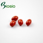 Lycopene Softgel Capsules Supplier - OEM GMP Certified Natural