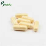 Melatonin Capsules Manufacturer - Food Grade GMP Certified
