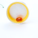 Grape Seed Softgel Supplier - Custom Formula Vitamin E OPC