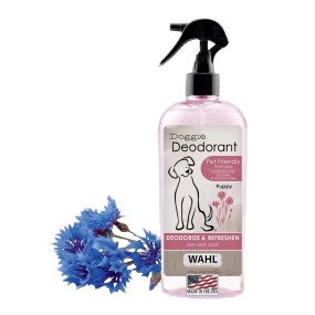 叶酸片剂供应商-孕妇补充剂