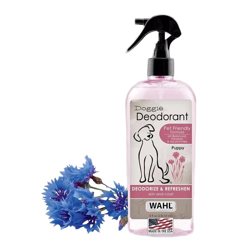 Folic Acid Tablets Supplier - Pregnant Women Supplement