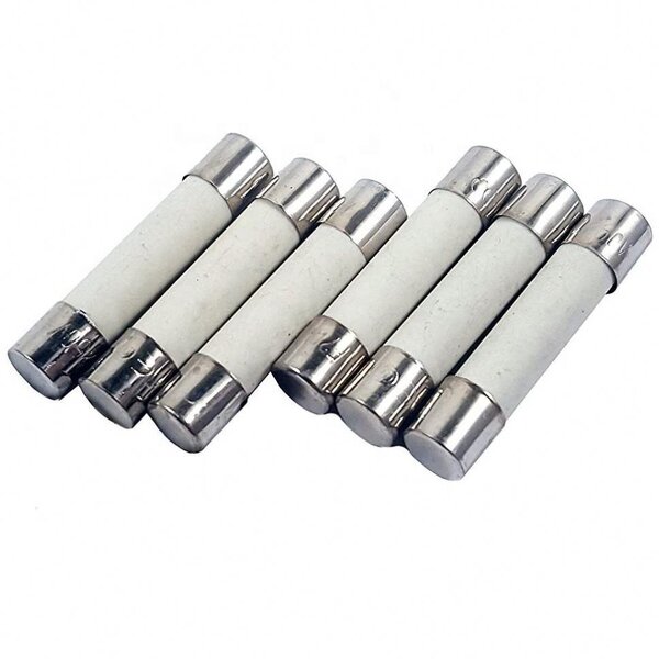 PPTC Fuse - 250V-060 IH 0.06A IT 0.12A 1W THT Resettable PolySwitch PTC