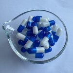 Enteric Coated Capsules - Size 00 0 1 HPMC Vegetable Veggie Pharmaceutical Empty Capsule