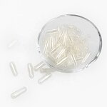 Enteric Coated Capsules - OEM Wholesale Gelatin Empty Capsule Shell Enteric Coated