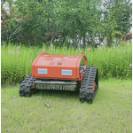 Lawn Mower Manufacturer - Cheap RC Remote Control 4 Stroke Home Garden Lawn Mower