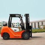 Forklift Manufacturer - 3-3.5ton LPG 3000-7000mm Japanese Engine Outdoor Solid Tire
