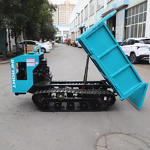 Dumper Manufacturer - Home Garden Track Transporter Mini Truck Dumper for Sale
