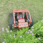 Lawn Mower Manufacturer - Cheap RC Remote Control 4 Stroke Home Garden Lawn Mower