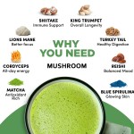 Mushroom Matcha Coffee Factory - Neutral Taste Supplement