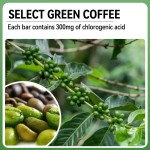 Brazil Mate Tea Supplier - Chlorogenic Acid Green Coffee