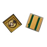 7-Segment Display - 0.36/0.39/0.40/0.50/0.56-Inch Dual Digit P LED