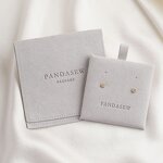 Jewelry Pouch Manufacturer - Custom Logo Suede Microfiber Drawstring with Insert Pad