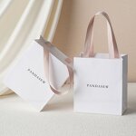 Paper Bag Manufacturer - Custom Logo Recycled White Gift Bag Ribbon Rope Kraft Shopping