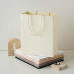 Paper Bag Manufacturer - Custom Logo Luxury Gift Bag Retail Boutique Shopping Paper