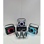 Portable Speaker Manufacturer - Mini Wireless Outdoor Subwoofer LED Flashing Metal Bass Microphone AC