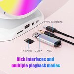 Portable Speaker Manufacturer - Colorful LED Light YS-110 Wireless Karaoke with Y1 Microphone AUX AC