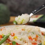 Konjac Rice Factory - Private Label Diabetic Diet 270g