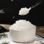 Instant Konjac Noodles Manufacturer - Low Carb Vegan 240g