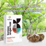 Konjac Noodles Factory - Kimchi Flavor OEM Export 162g