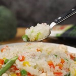 Konjac Rice Supplier - Gluten Free Vegan Keto 270g