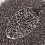 干魔芋玉米米供应商-低热量生酮80克